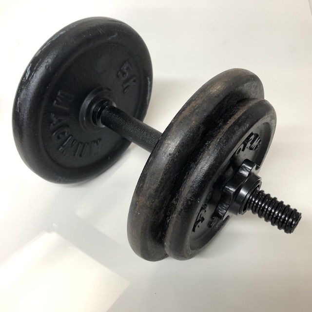 WEIGHT, Dumbell 15kg